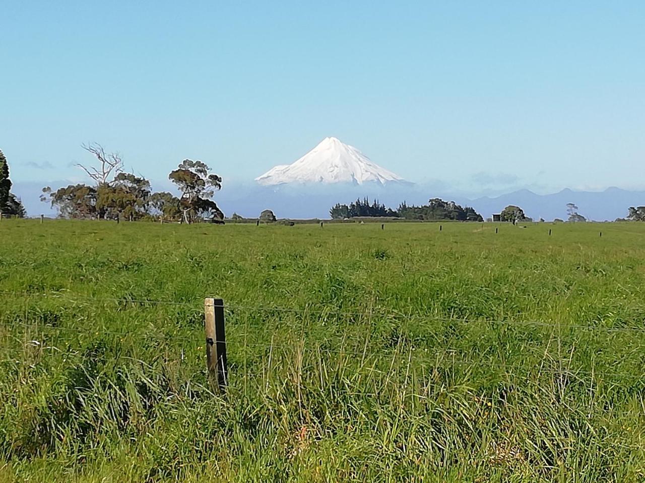 Отель The Little Gem Waitara Экстерьер фото